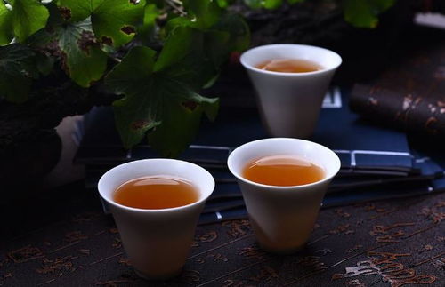 泡普洱茶時(shí)如何控制茶葉用量 不同情況下的建議使用量